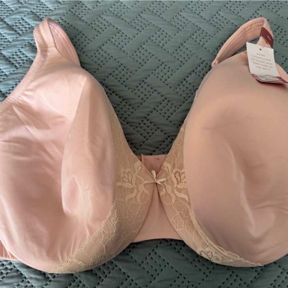 Elegant Lace Trim Pink Bra - Picture 1 of 4